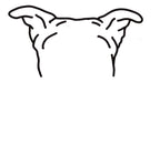 Custom Pet Sillouette