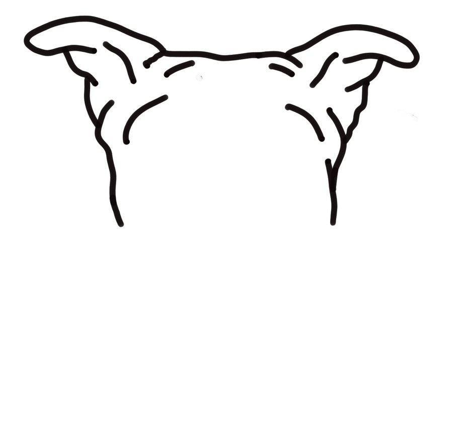 Custom Pet Sillouette