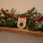 Elf on the Shelf Cam